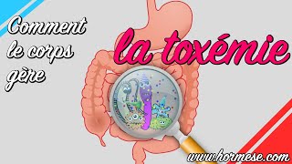 La TOXÉMIE et sa gestion par le CORPS  Naturopathie [upl. by Cott58]