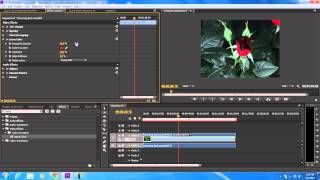 How to Use the Leave Color Effect in Adobe Premiere [upl. by Katie939]