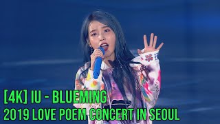 4K LIVE  IU  Blueming  191123 2019 Love Poem Concert in Seoul [upl. by Sil341]