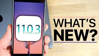 iOS 1103 Released Whats New Review [upl. by Ailatan]