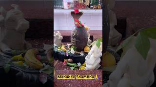 Weirdest Religions Bhole Charaniy Aradhna Shiv Tandav shorts [upl. by Rogovy]