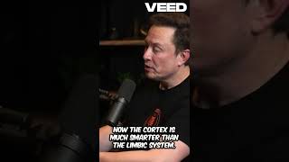 Elon Musk Explained The Cortex and the Limbic System shorts elonmusk lexfridman podcast [upl. by Cobb]