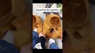 Zapatillas de capibara iboop iBOOP capybara peluches plush regalos gifts capibara dolls [upl. by Bigg881]