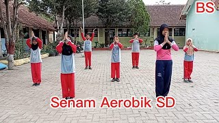 Senam Aerobik SD [upl. by Oicor]