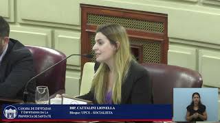 INTERVENCION DIPUTADA CATTALINI LIONELLA  SESIÓN ORDINARIA Nº14 141124 [upl. by Anahcra]