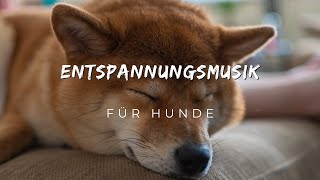 Entspannungsmusik für Hunde  Musik für Hunde zur Beruhigung und zum Einschlafen [upl. by Peria]