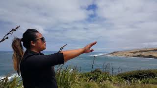 Maori Song from NZ hokianga [upl. by Ateloj46]