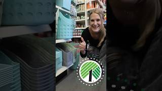 DOLLAR TREE organization hacks 🤯 2024 dollartree [upl. by Eynobe]