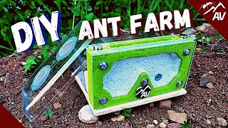 How to make a Formicarium  DIY Ant Farm for Pet Ant Colony [upl. by Ossie]