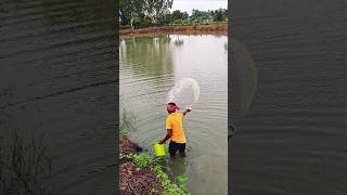 how to use fish medicine in pond shortsvideo freshwaterfish medicine fishpond water [upl. by Hanej]