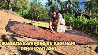 PAGI DI KAMPUNG KU JEMUR CENGKEH HASIL PANEN ALHAMDULLIAH MUSIM CENGKEH BELUM USAI [upl. by Ellirpa]