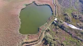 El Parc Natural del Montgrí posa en marxa la vuitena edició del curs de bons coneixedors del parc [upl. by Akinak959]