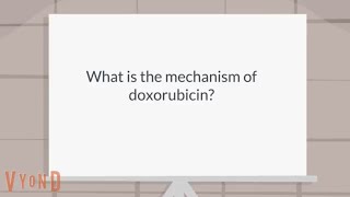 What is the mechanism of doxorubicin [upl. by Aitital122]