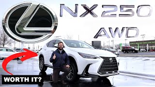 2023 Lexus NX 250 Just A Fancy RAV4 [upl. by Yrohcaz]