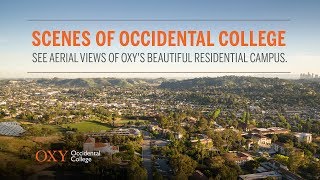 Scenes of Occidental [upl. by Inman946]