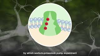 Deep Isoflurane Anesthesia is Associated with Alterations in Ion Homeostasis [upl. by Hayyikaz]