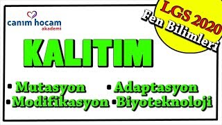 KALITIM Modifikasyon Mutasyon Adaptasyon Biyoteknoloji  LGS 2020 8Sınıf Fen Bilimleri [upl. by Whale]