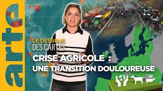 Crise agricole  une transition douloureuse  Le dessous des cartes  Lessentiel  ARTE [upl. by Silloc]