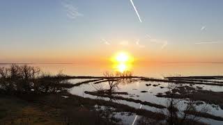 Bachs Cantata BWV 215  Sunrise Over Lake Erie at Port Rowan Ontario [upl. by Apostles]