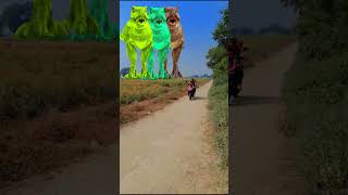 Real T Rex Jurassic World park In today viral animals jurassicworld ytstudioRKdinosaurofficial [upl. by Peterec]