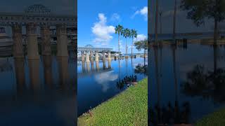 Boat Tailed Grackles Chirp by Swings Mallard Ducks Palm Trees amp Downtown Sanford Marina Florida [upl. by Singer]