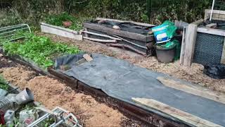 Composting Pathways The Ultimate Garden Recycling Hack [upl. by Ehman]