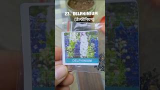 Delphiniumviralvideogardenflowersseedsplantsdelphiniumflowerseedsmeeshoreviewtourminivlog [upl. by Thurman]