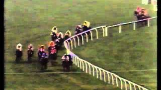 Morley Street  1991 Champion Hurdle Cheltenham [upl. by Eugaet]