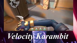 Velocity Karambit Gameplay amp Animation  VALORANT EPISODE 4 ACT 1 [upl. by Marlin]