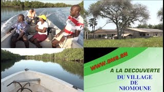 NIOMOUNE L’ÎLE MENACÉE DE DISPARITION À CAUSE DE L’AVANCÉE DE LA SALINISATION DES SOLS [upl. by Robbyn]