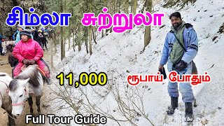 Shimla Tourist Places  சிம்லா சுற்றுலா 11000 போதும்  Shimla Tour Guide in tamil  Mr Ajin Vlogs [upl. by Eelidnarb144]