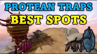 Best Spots for Protean Hunter Traps  Protean Trap Guide  RuneScape 3 [upl. by Llenehc]