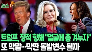 뉴스쏙 트럼프 또 막말…정적 향해 quot얼굴에 총 겨누자quot 위협ㅣ해리스 quot트럼프 대통령 자격 없어quot…대선 불복 우려  연합뉴스TV YonhapnewsTV [upl. by Eneloc]