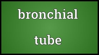 Bronchial tube Meaning [upl. by Platon989]