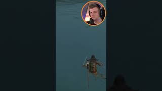 Einfach schwimmen schwimmen eldenring fail community stream streamer twitch [upl. by Brahear]