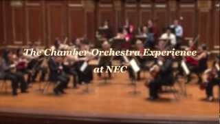 The Chamber Orchestra Experience at NEC [upl. by Modie]