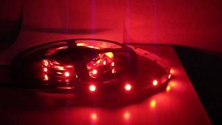 Learn what 5050 RGB LED Lights are [upl. by Butch]