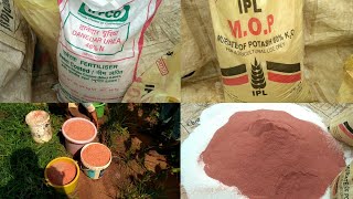 UREAN AND POTASHK2O FERTILIZER MIXING FOR MAIZE CROP NEEM COATED UREA amp MURIATE OF POTASH Agri [upl. by Stewart]