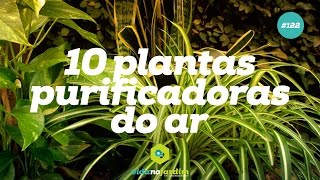 10 plantas purificadoras do ar [upl. by Orlena246]