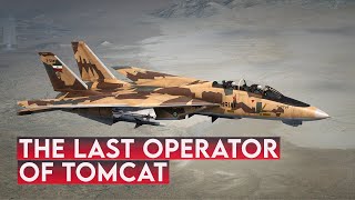 The legendary Tomcat Fighter Jet Is Still In Service [upl. by Werra]