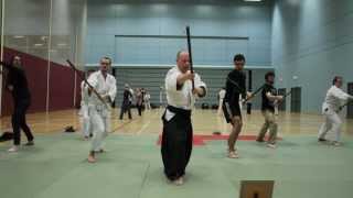 Nui Galway Aikido Club [upl. by Susie]