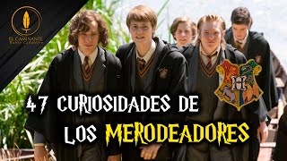 47 Curiosidades de los Merodeadores [upl. by Yorel]