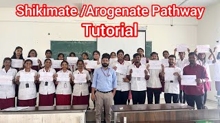 ShikimateArogenate pathway  Pharmacognosy tutorial youtubevideo youtube college students [upl. by Leumek]