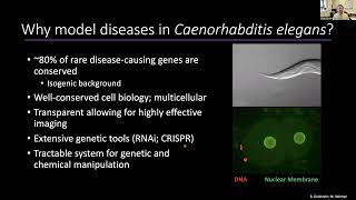 Complementary Gene Editing Approaches to Investigate Rare Mitochondrial Disease [upl. by Neesay]