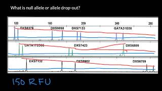 What is null allele or allele dropout [upl. by Hanikehs]