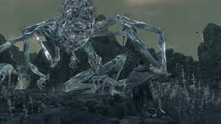 Bloodborne  Amygdala Boss Fight No Hud No Damage [upl. by Ardiedak768]