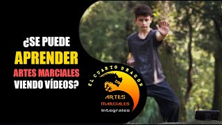 ¿Se puede aprender Artes Marciales en Youtube [upl. by Thursby]