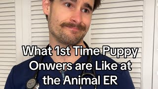 What 1st Time Puppy Owners are like at the Animal ER [upl. by Etnad]