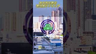 個人的政令指定都市都会度ランキングです！ 地理系 ランキング [upl. by Yrac916]