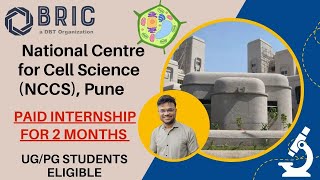 NCCS Short Term Internship 2024  Stipend Rs 5000 pm  UGPG students Eligible  Apply Now [upl. by Rogozen799]